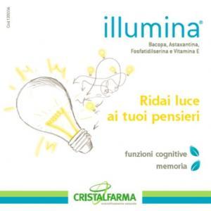 Seed Bags | Project illumina