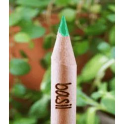 Sprout Pencil