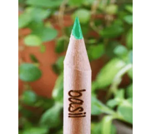 Sprout Pencil