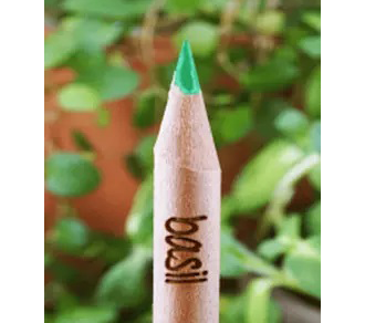 Sprout Pencil