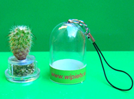 Mini Cactus Keyholder | Project Wipietus