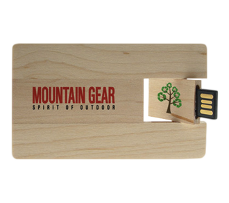 USB wooden Card