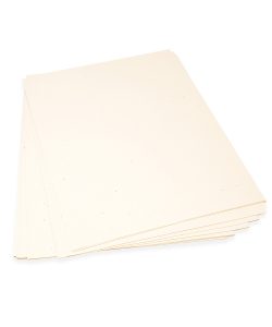 Crema fogli piantabili A3 2504x3000