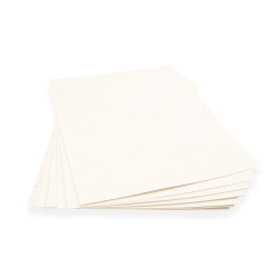 Fogli piantabili img evidenza