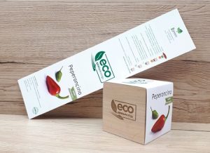 Ecocube | Project SIFA TECHNOLOGY