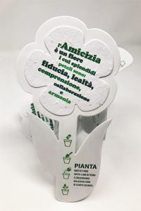 Flower in plantable Paper