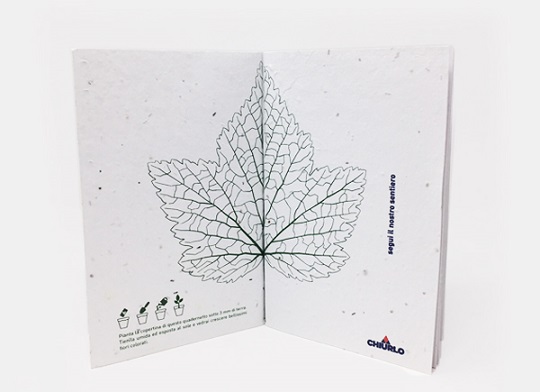 Plantable Notebook | Project CHIURLO