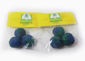 Seed Bombs – Earth Day | Project Coldiretti