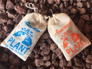 SeedBombs | Project GENESIA