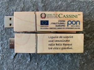 USB Wooden Clip | Project Cassini