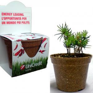 Green Espresso | Project Unicredit