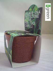 Green Espresso | Project Equave