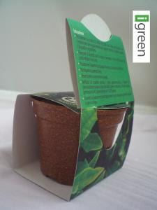 Green Espresso | Project Equave