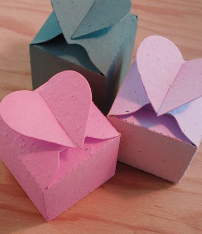 Closed Heart Plantable Box for Wedding Favors