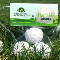 Seedbombs - Golf balls