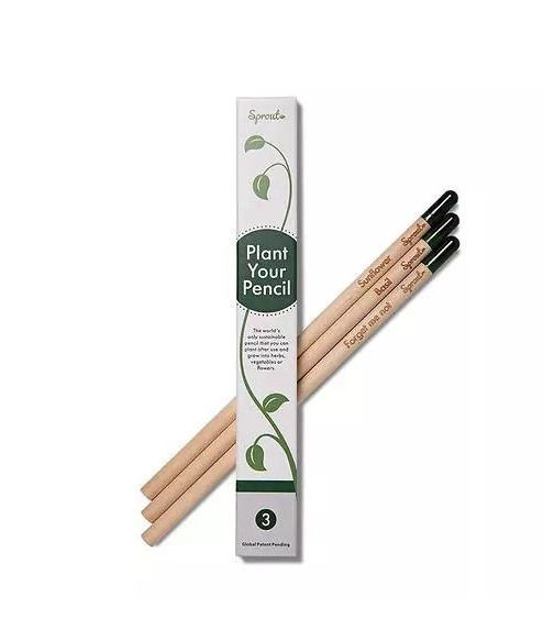 PE011602 'Sprouting Seed' Coloured Pencils Set 