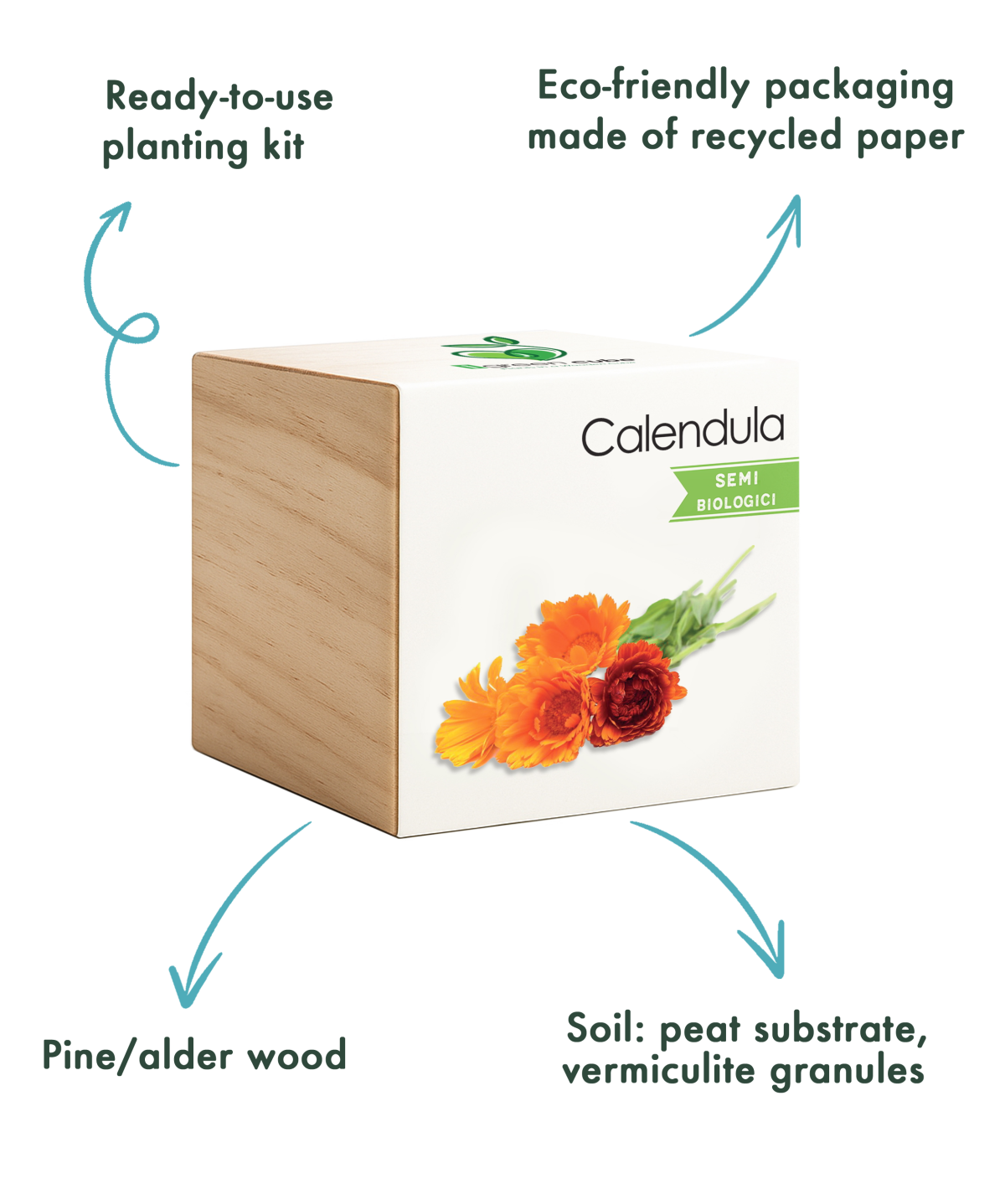 Infografica iGreen Cube ENG