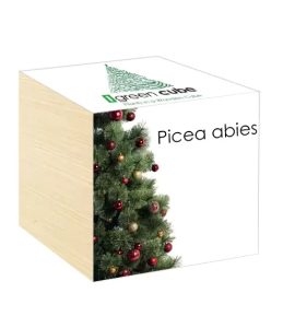 iGreen Cube picea abies