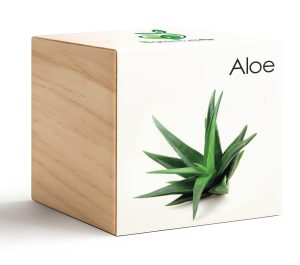 iGreencube-Aloe