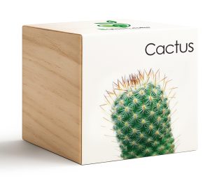 iGreencube-Cactus