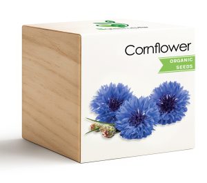 iGreencube-Cornflower