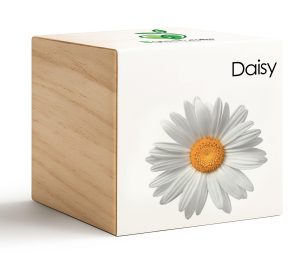 iGreencube-Daisy