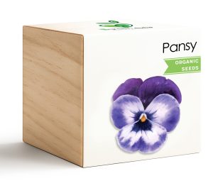 iGreencube-Pansy