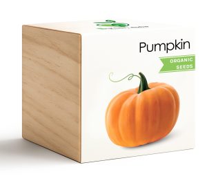 iGreencube-Pumpkin