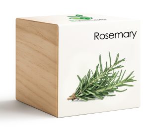 iGreencube-Rosemary