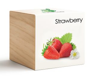 iGreencube-Strawberry