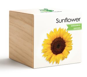 iGreencube-Sunflower