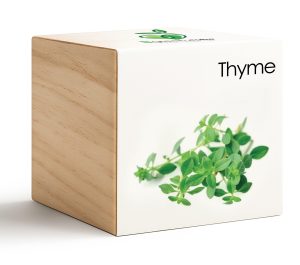 iGreencube-Thyme