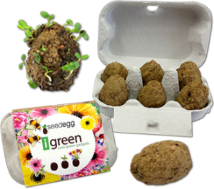 Seedegg-plantable seed bombs