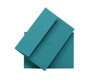 Plantable Envelope