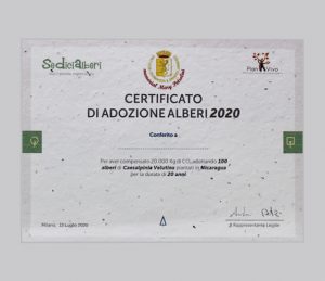 Certificate of Adoption Trees | Project courmayeur