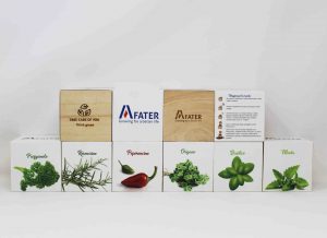 Ecocube | Project FATER
