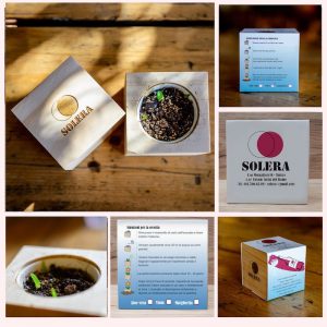 Ecocube | Project Solera