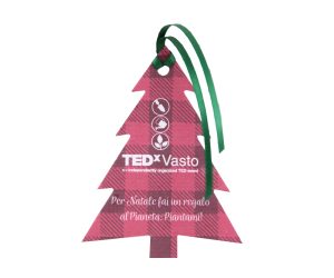 Plantable Christmas Ornaments for TedxVasto