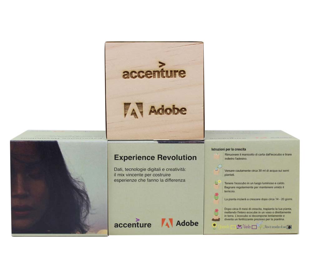 iGreen Cube for Adobe & Accenture