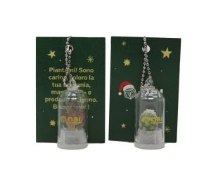 Mini Cactus Keyholder for nsi