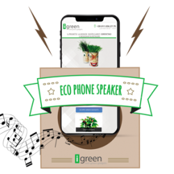 Eco Phone Speaker, Natural Amplifier for Smartphones in Pine Wood, 100% Ecological
