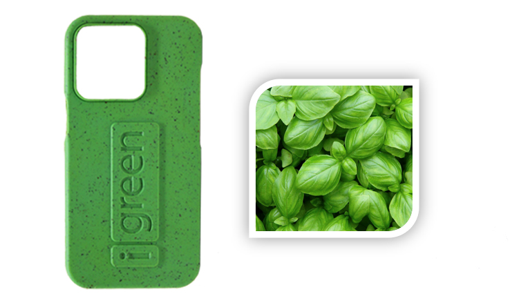 iGreen-cover-green-basil