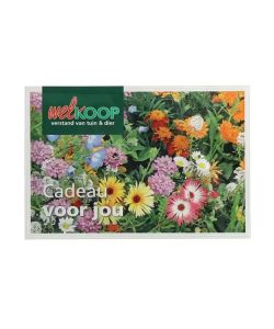 Postcard Welkoop