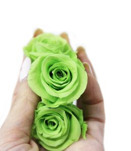 Eternal Rose-iGreen Rose in hand