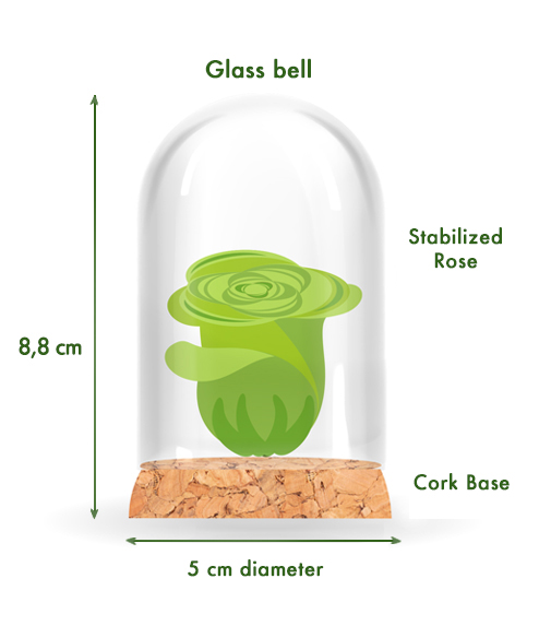 Eternal Rose-iGreen Rose_Technical Details