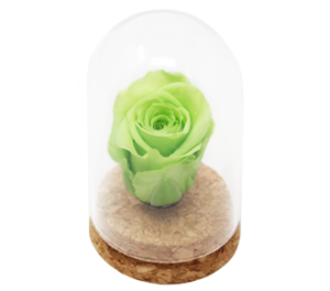 Eternal Rose-iGreen Rose_product image