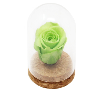 Eternal Rose-iGreen Rose_product image