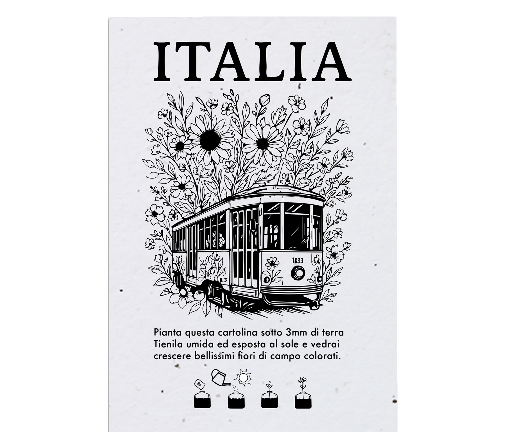 Plantable City Postcards evidenza