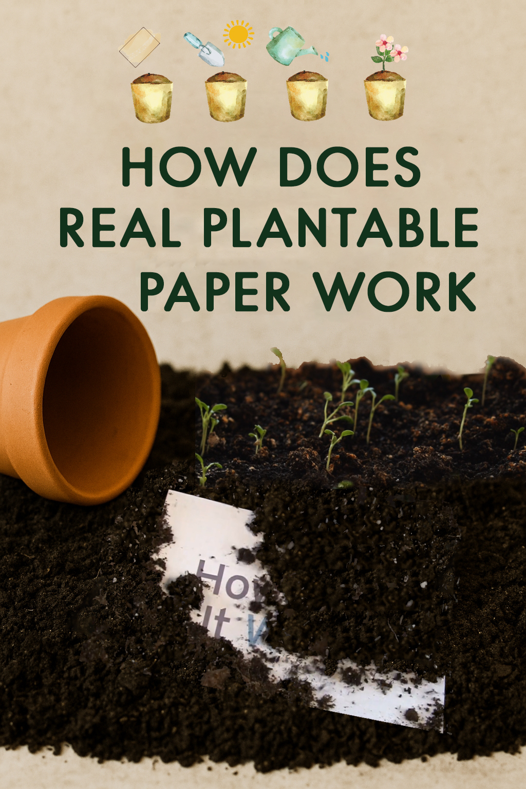 Real Plantable Paper