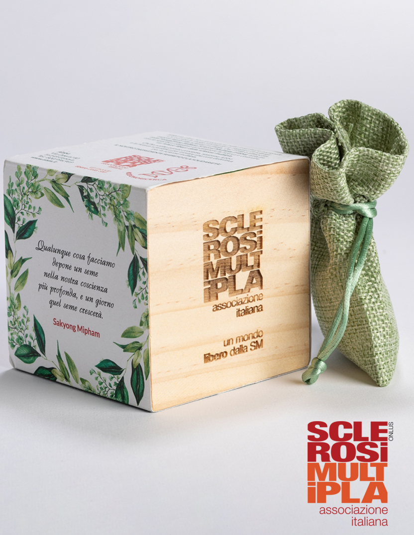 AISM Wooden Seed Cubes